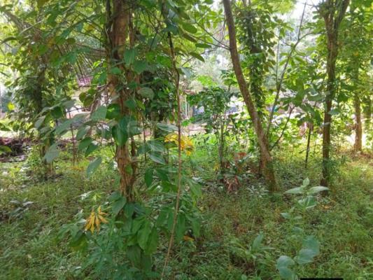 Residential Land for Sale in Divulapitiya