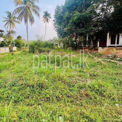 Residential Land for Sale in Ridigama