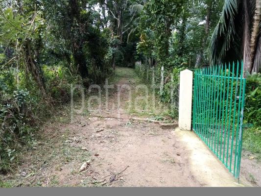 House for Sale in Divulapitiya