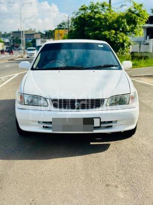 Toyota Corolla 2000 - பயன்படுத்தப்பட்டது கார் sale in Sri Lanka - patpat.lk