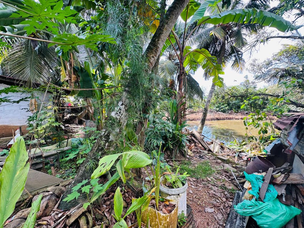  Land for Rent in Wellawatta (Colombo 06)
