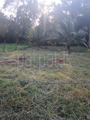 Residential Land for Sale in Pothuhera