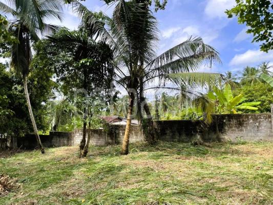 premium-listing-image