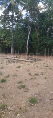 Residential Land for Sale in Minuwangoda