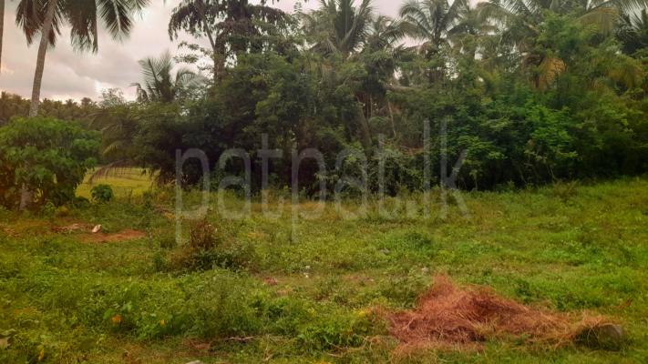 Agricultural Land for Sale in Dompe