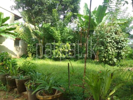 premium-listing-image