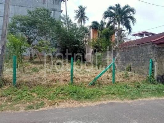 premium-listing-image