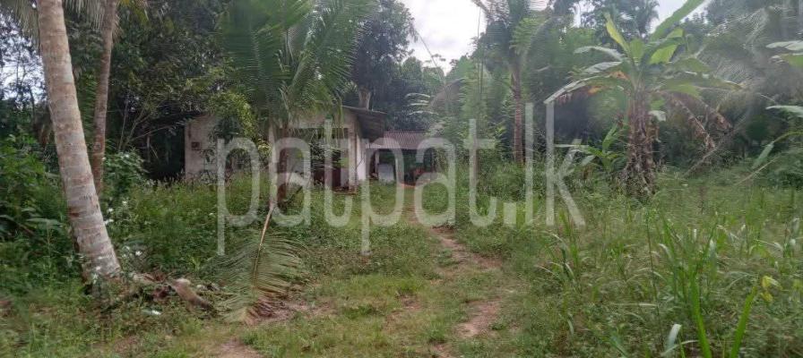 Commercial Land for Sale in Moragahahena