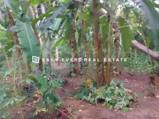 Commercial Land for Sale in Hikkaduwa