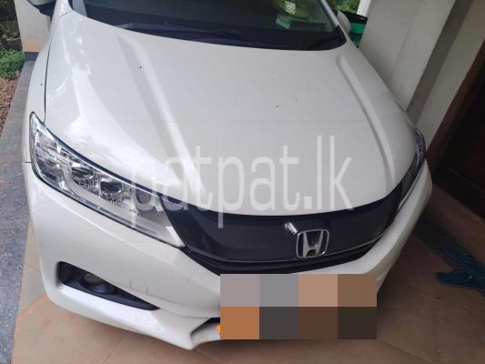 Honda Grace 2015 - Used Car sale in Sri Lanka - patpat.lk