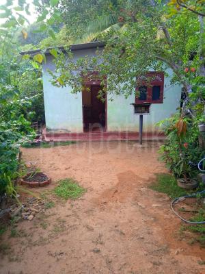 House for Sale in Delgoda