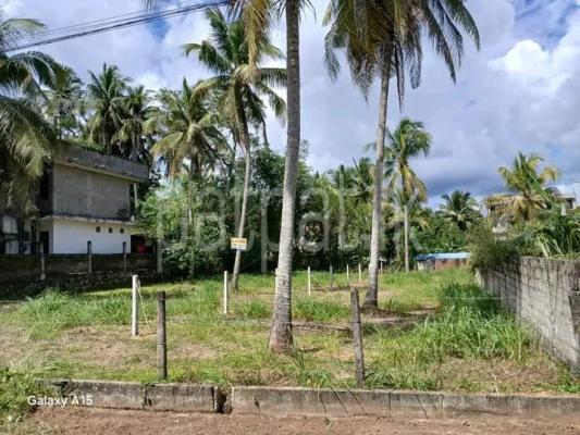 premium-listing-image