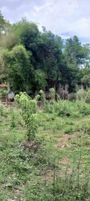 Residential Land for Sale in Kataragama
