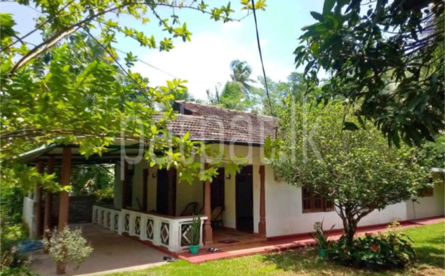 premium-listing-image