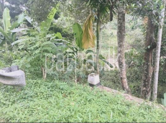 Agricultural Land for Sale in Dehiowita