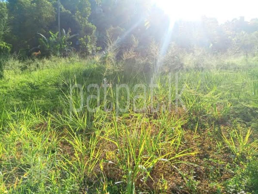 Residential Land for Sale in Gampola