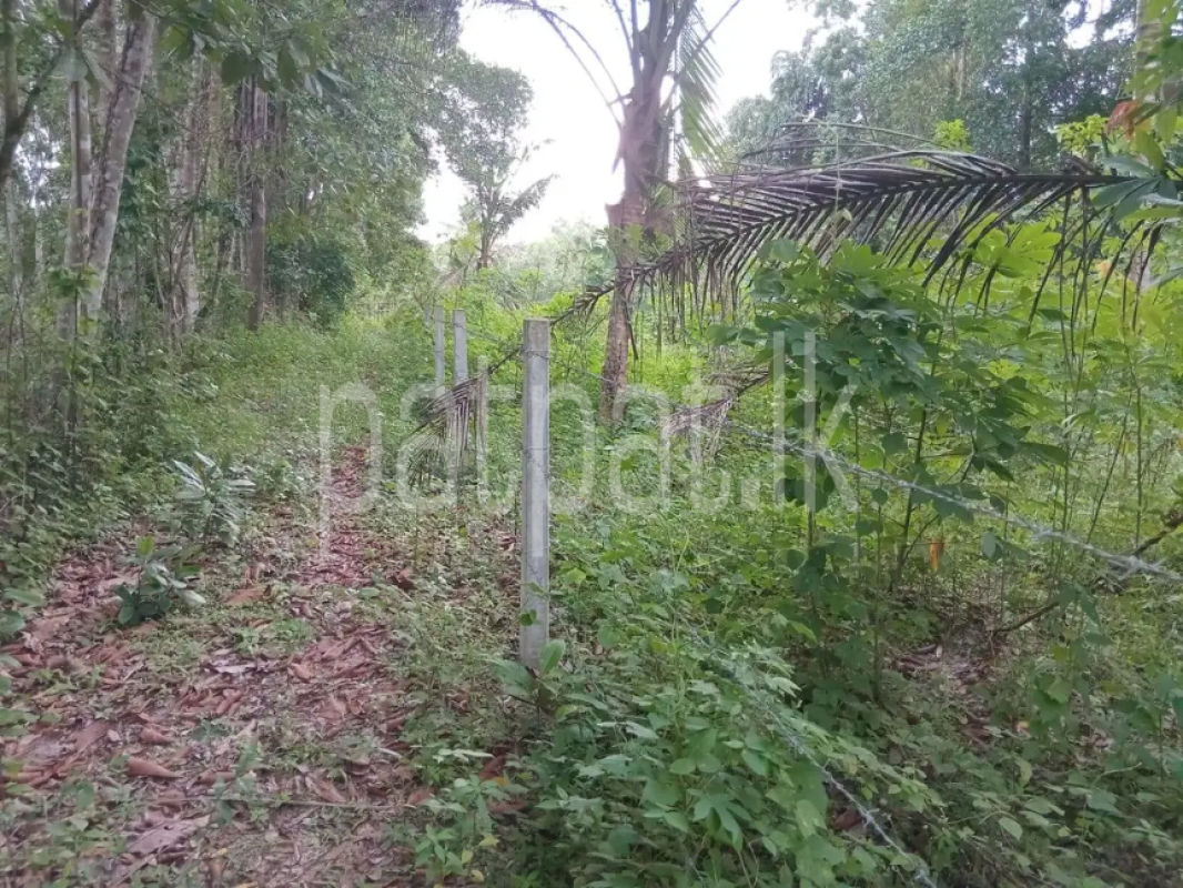 Residential Land for Sale in Divulapitiya