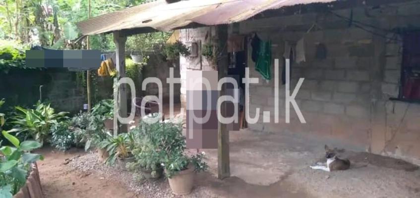 premium-listing-image