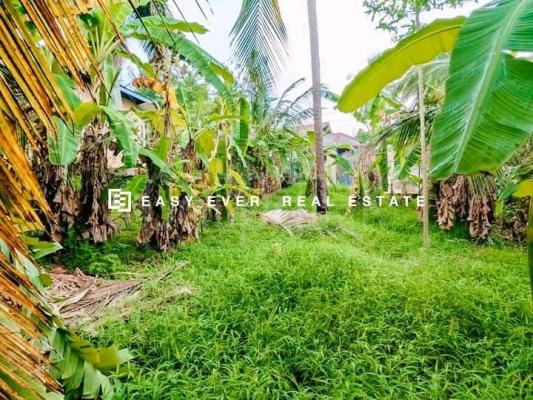 Commercial Land for Sale in Ganemulla