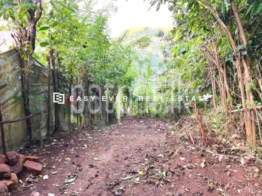 Commercial Land for Sale in Teldeniya