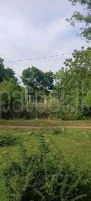 Commercial Land for Sale in Kataragama