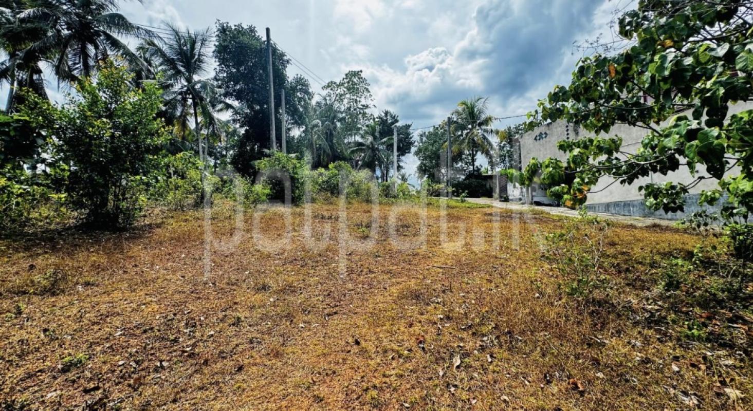 Residential Land for Sale in Weliveriya