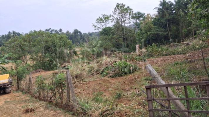 Agricultural Land for Sale in Giriulla