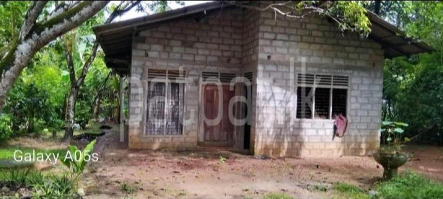 premium-listing-image