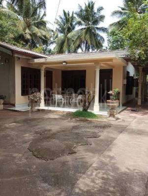 premium-listing-image