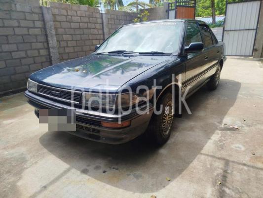 premium-listing-image