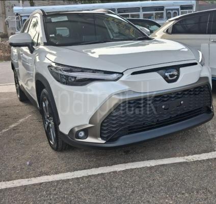 premium-listing-image