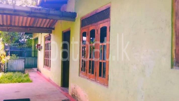 premium-listing-image