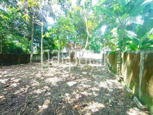 premium-listing-image