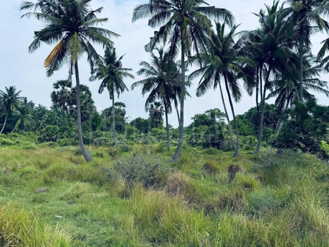 Commercial Land for Sale in Kalpitiya