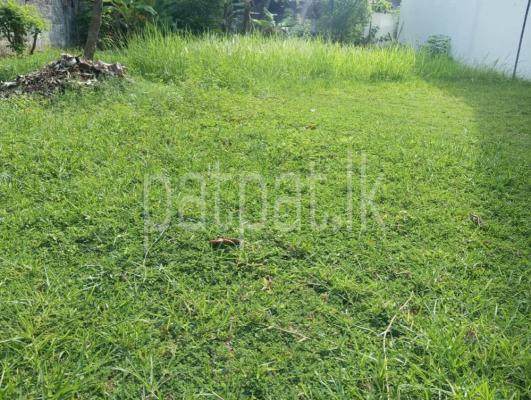 premium-listing-image