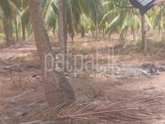 premium-listing-image