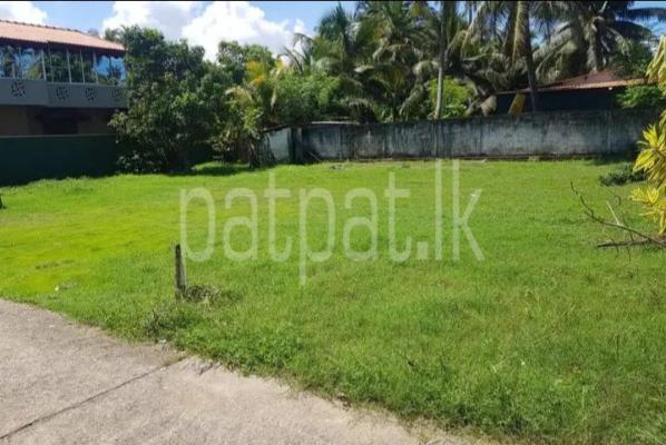 premium-listing-image