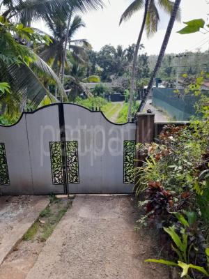 premium-listing-image