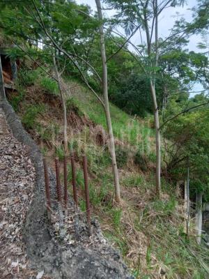 premium-listing-image