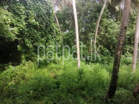 premium-listing-image