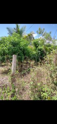 Agricultural Land for Sale in Tissamaharama