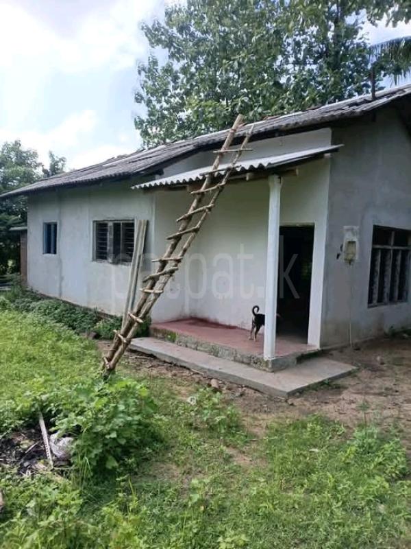 House for Sale in Narammala