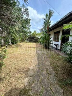 premium-listing-image