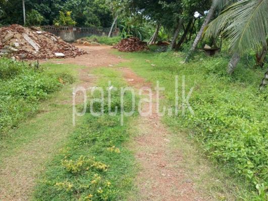 premium-listing-image