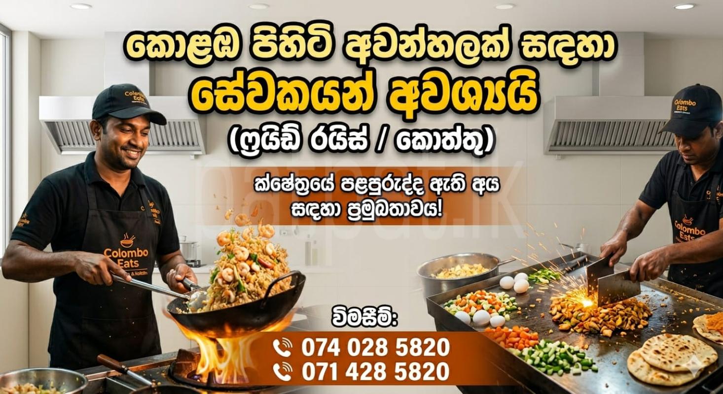 Fried Rice and Kottu Chef