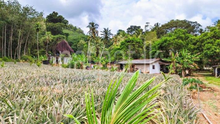 premium-listing-image