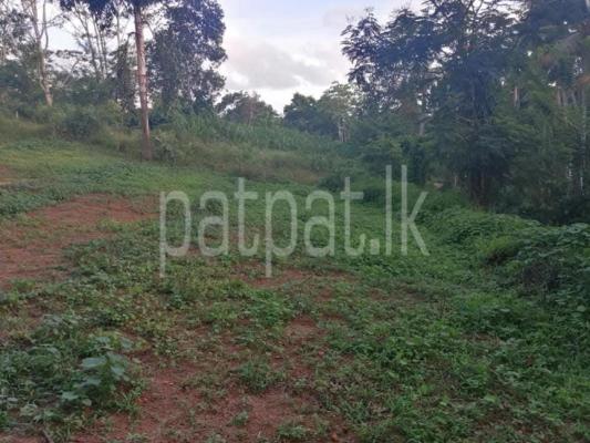 premium-listing-image