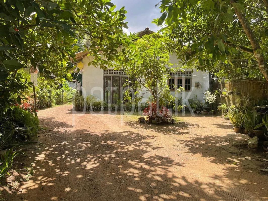 House for Rent in Yakkala