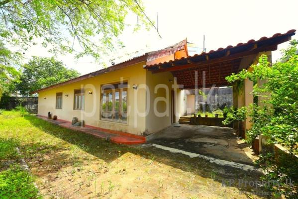 premium-listing-image