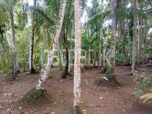 premium-listing-image